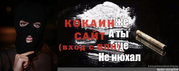 индика Алексеевка