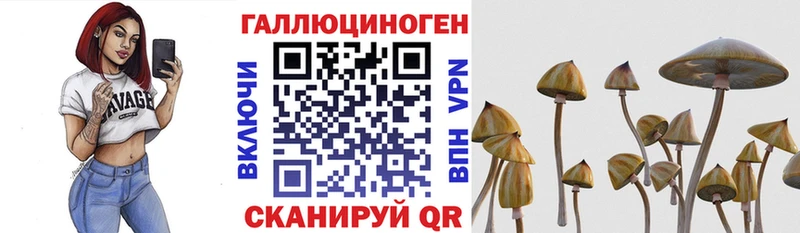 Галлюциногенные грибы Psilocybine cubensis  Туймазы 