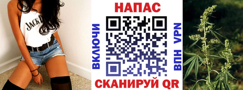 МЕГА сайт  Туймазы  Марихуана сатива 